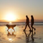 Couple walking do on beach at sunset