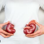 kidney health