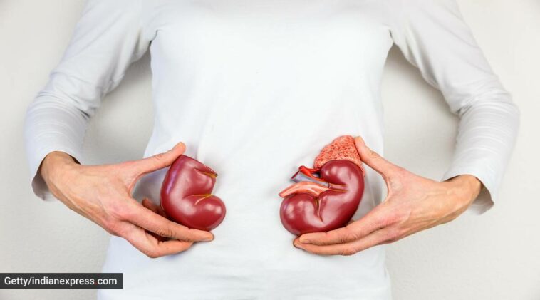 kidney health