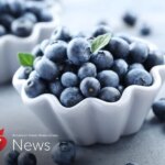 News Picture: AHA News: Fresh or Frozen, Wild or Cultivated? What to Know About Blueberries and Health