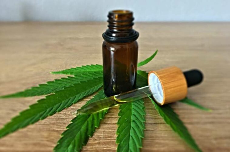 cbd oil