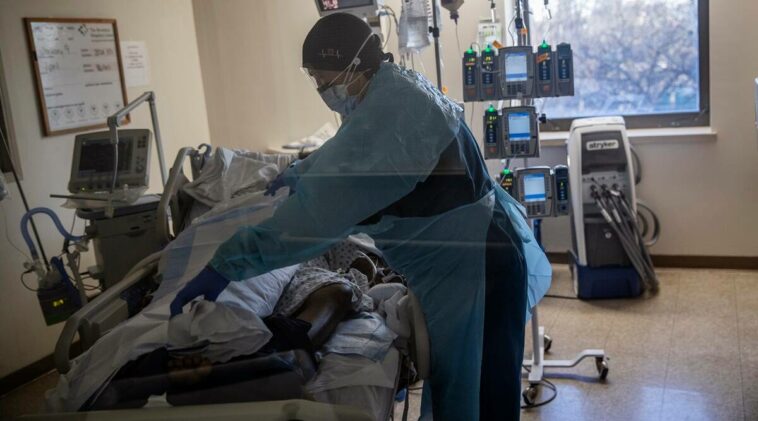 A health care worker attends to a COVID-19 patient at the Brooklyn Hospital Center in New York, Jan. 12, 2022. (Victor J. Blue/The New York Times)