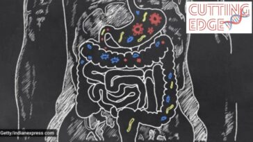 Cutting Edge: Poop therapy can save your gut, and your life