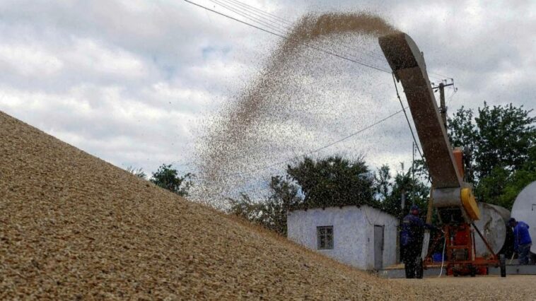 Deal on table to release millions of tonnes of grain from Ukraine ports