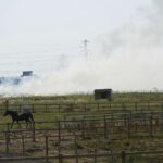 European heat wave melts roads and causes wildfires in Britain