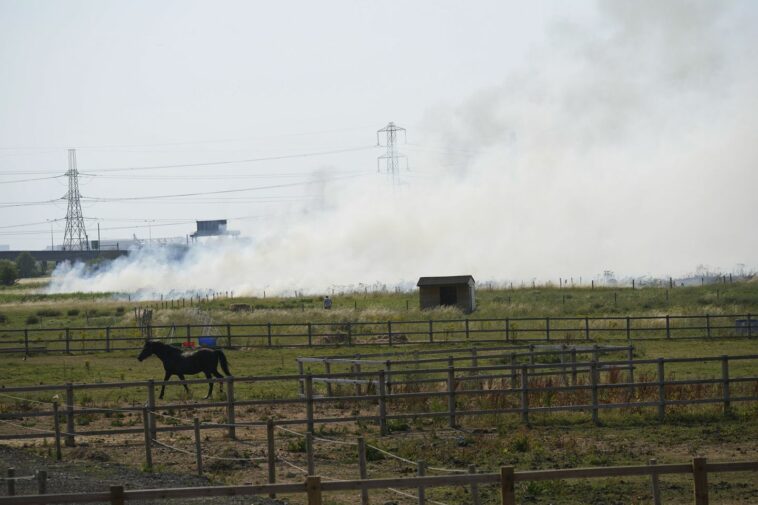 European heat wave melts roads and causes wildfires in Britain