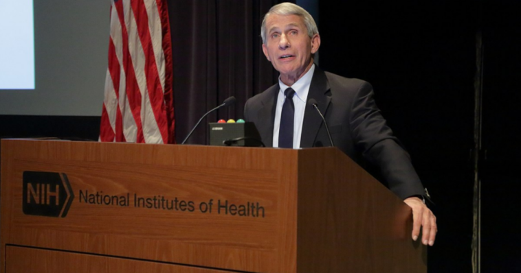 Fauci expects to retire by end of Biden's current term