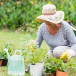 News Picture: Gardening Can Blossom Into Better Mental Health