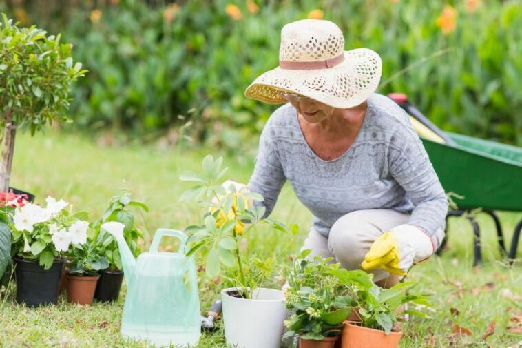 News Picture: Gardening Can Blossom Into Better Mental Health