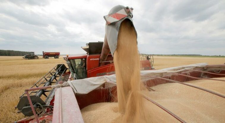 Guterres hails ‘critical step forward’ on resuming Ukraine grain exports