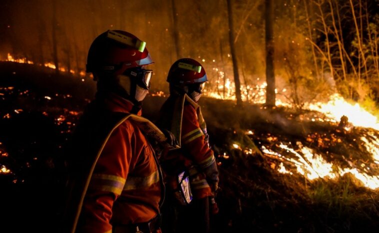 Hundreds of firefighters battle ‘mega-fire’ in southern France