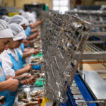 In Portugal, Taking a Dive Into Sardines