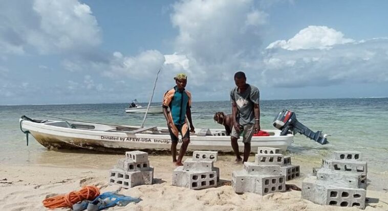 Kenya’s Kuruwitu corals are back, thanks to local conservation drive