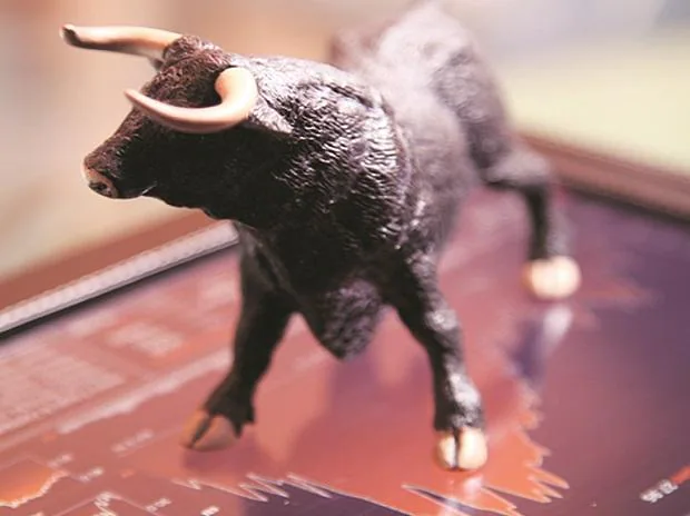 Stock market rally, bull trading, Sensex, nifty