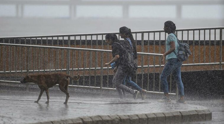 Maharashtra rain warning: Heavy rainfall floods 3 districts; IMD warns of intense downpour in Konkan region