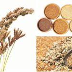 Mighty millets: Underrated powerhouse of nutrients