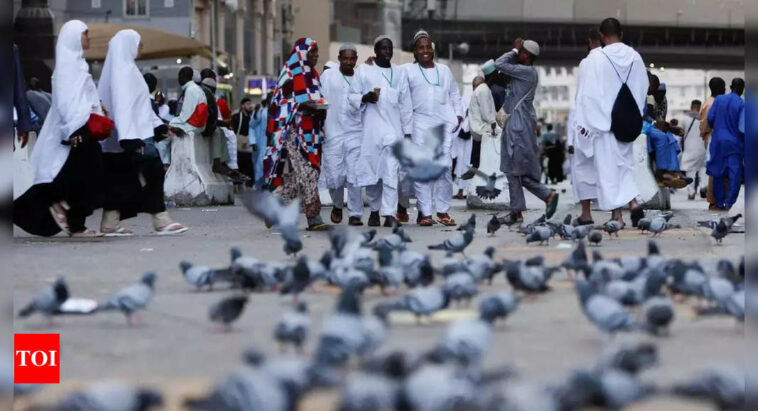 Muslim pilgrims kick start largest Haj of Covid era in Saudi Arabia