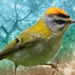 firecrest bird on a background of trees