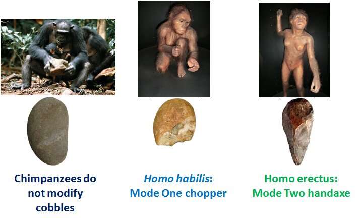 New study in children with language deficits highlights importance of voluntary imagination in language evolution