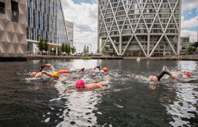 open swimming