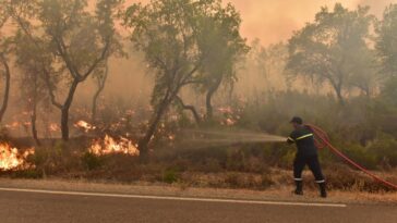 Photos: Firefighters, soldiers battle Morocco’s forest blazes