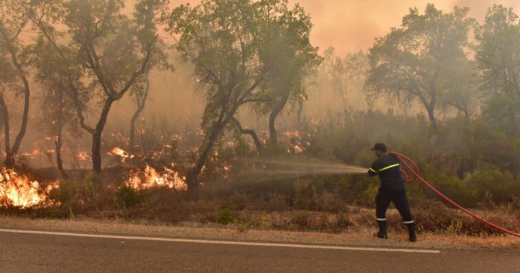 Photos: Firefighters, soldiers battle Morocco’s forest blazes