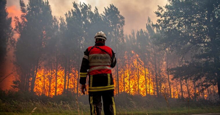 Photos: Wildfires rage as parts of Europe battle record heatwave