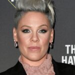 Pink Releases Protest Single “Irrelevant” With Proceeds Going to When We All Vote