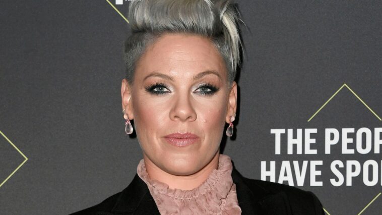 Pink Releases Protest Single “Irrelevant” With Proceeds Going to When We All Vote