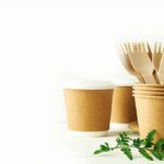 Plastic ban: Eco-friendly brands make hay out of wood products