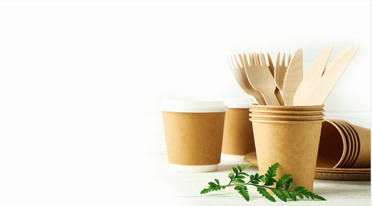 Plastic ban: Eco-friendly brands make hay out of wood products