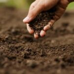 Pollutants in soil can harm your heart