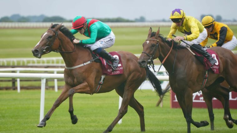 Pretty Polly Stakes winner La Petite Coco in line for Yorkshire Oaks outing at Ebor Festival