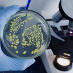 Rare, Deadly Bacterial Illness Melioidosis Now in US, CDC Warns