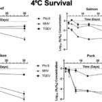 Research suggests SARS-CoV-2 could survive for a month on refrigerated or frozen meat products