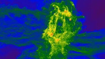 Supermassive Black Holes Formed in Rare Regions of Gas Behind the Earliest Quasars: Study