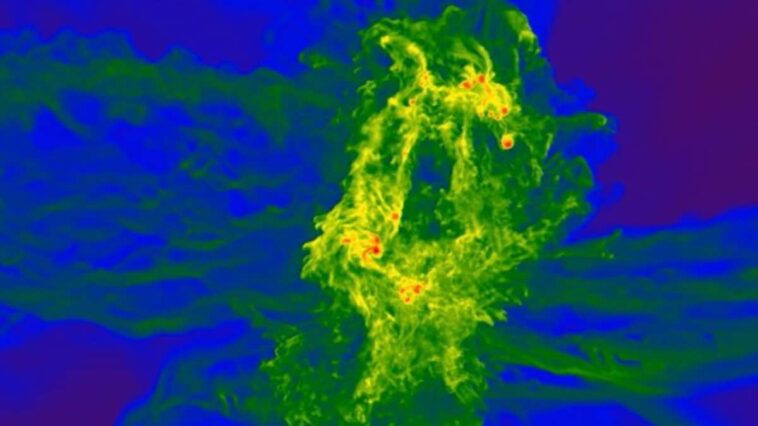 Supermassive Black Holes Formed in Rare Regions of Gas Behind the Earliest Quasars: Study