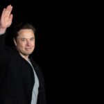 The Elon Musk-Twitter Saga Now Moves to the Courts