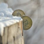 This ‘crypto winter’ is unlike any downturn in the history of digital currencies. Here's why