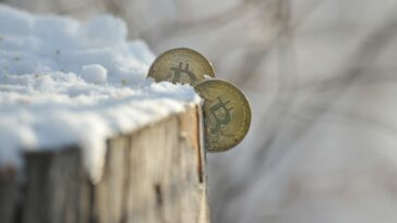 This ‘crypto winter’ is unlike any downturn in the history of digital currencies. Here's why