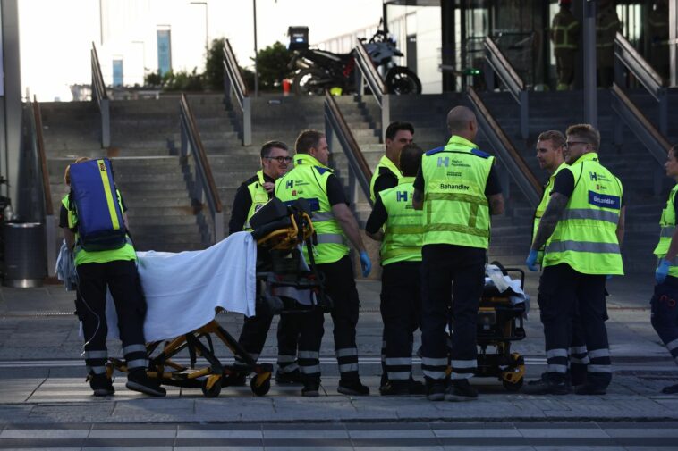 Three people dead in Copenhagen shopping mall shooting