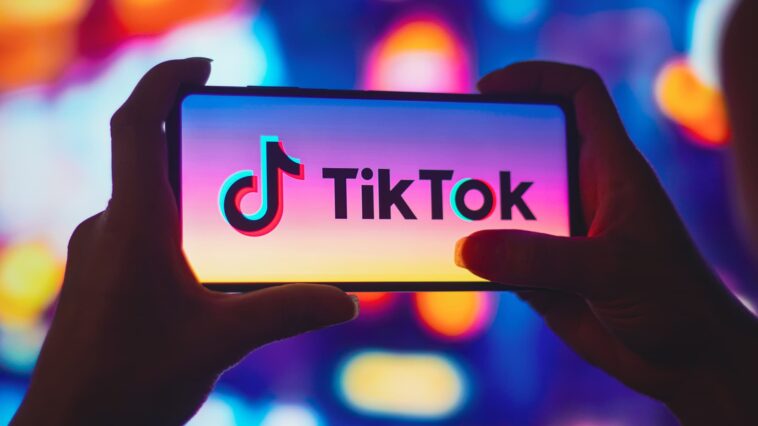 TikTok's global security chief to step down — internal memo