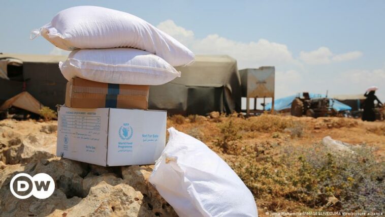 UN Security Council agrees to extend Syria aid deliveries