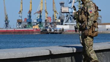 Ukraine asks Turkey to detain Russian-flagged cargo ship