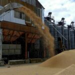 Ukraine hopeful Black Sea grain shipping is imminent