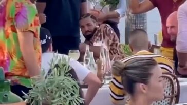 Buzz off! Drake found himself in a state of panic on Thursday as a bee came swarming around him as he partied in St. Tropez  as his crew hilariously attempted to swat it away from him