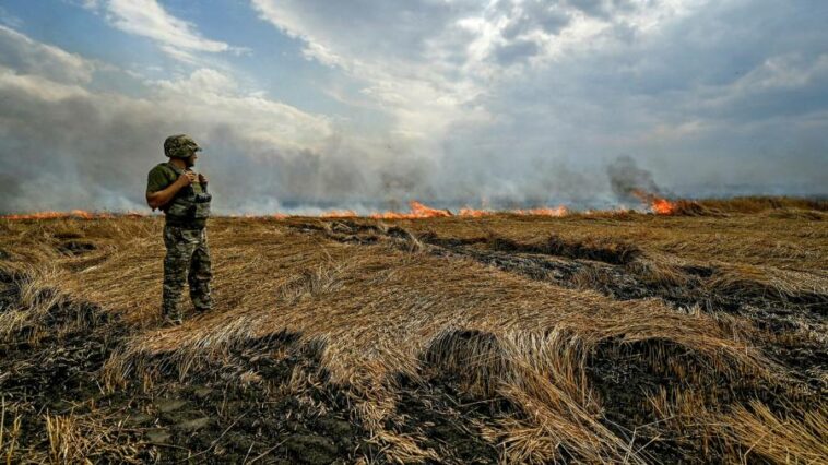 We must resurrect ‘forgotten’ crops in the fight against a food crisis