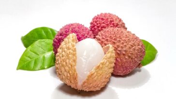 Why, despite its high sugar content, you must consume lychee