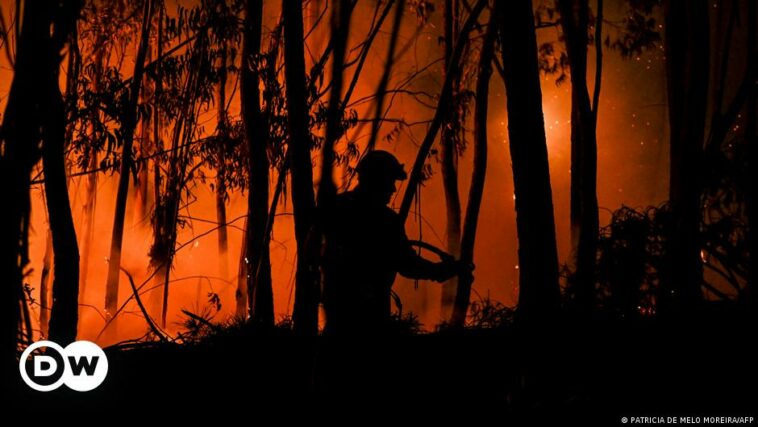 Wildfires engulf parts of Portugal amid heat wave