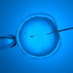 With abortion laws shifting, in vitro fertilization providers wonder if they're next